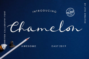 Chamelon Font Review for Small Business Branding