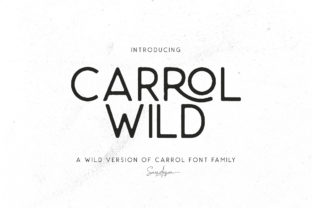 Choosing Carrol Wild for Editorial Design and Typography