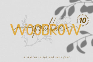 Elevate Your Campaigns with the Qorallee Woodrow Duo Font