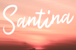 Santina: A Premium Handwritten Font for Authentic Branding